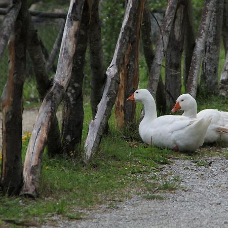 Albergo Lago Verde Pennabilli Exteriör bild