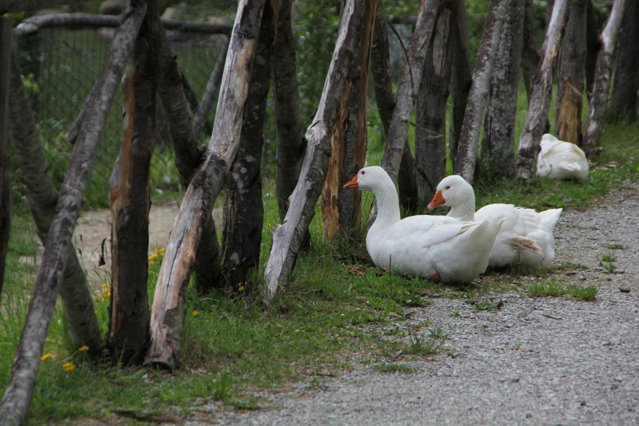 Albergo Lago Verde Pennabilli Exteriör bild